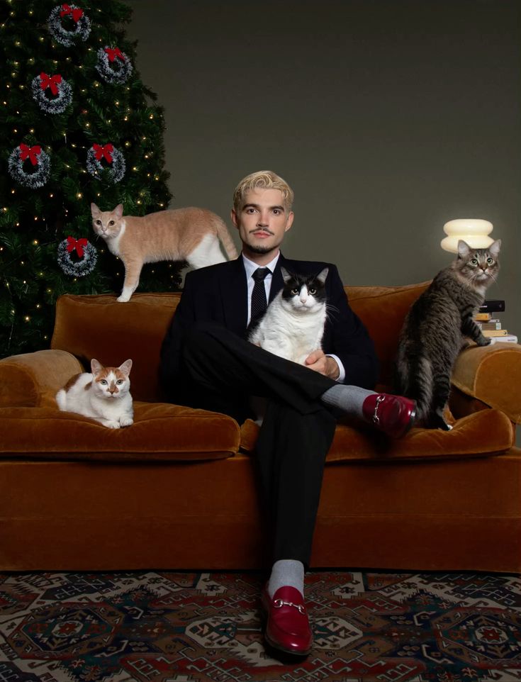 cantor junto de seus quatro gatos de estimação